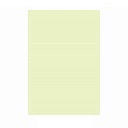 BGPPL Infinito Ledger Copier Paper A4 90 Gsm (Light Green Colour)