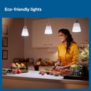 LED Bulb 15 Watt (1 Year Warranty)