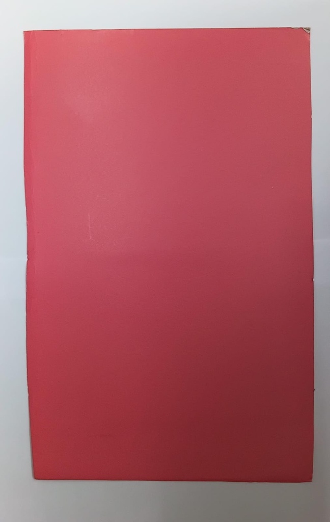 Sabarmati Duplex File Card Sheet Red Colour 22x28, 280 Gsm / 16.0kg (Pack Of 144)