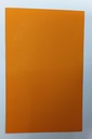 Sabarmati Duplex File Card Sheet Orange Colour 22x28 420 Gsm / 24.0kg (Pack Of 144)