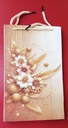 Premium Paper Bags | Size 9.5 x 6 x 3.75 Inch | Model No. 2510 (Pack of 10)