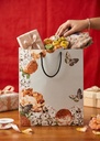 Premium Paper Bags Size 10x12x3.75 Inch / Model No. 3006 (Pack of 10)