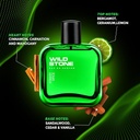 Wild Stone Premium Long Lasting Eau de Perfume 100ml (Forest Spice)