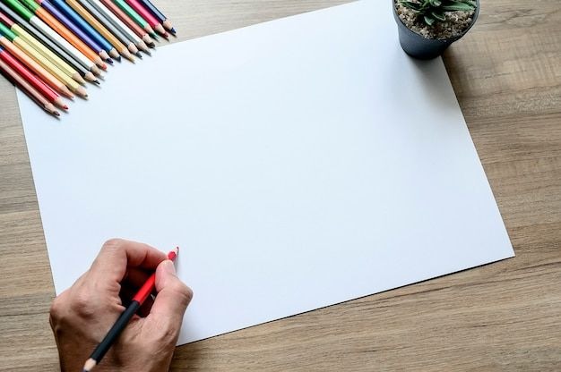 Sunshine Drawing Paper 22x30 100 Gsm 21.3 Kg (Loose Sheet)
