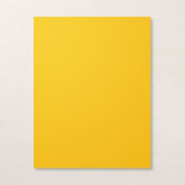 (Loose)Westcoast 22x28 8.0 Kg Yellow