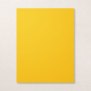(Loose)Westcoast 22x28 11.5 Kg Yellow