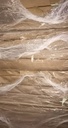Westcoast Ledger 17x27 11.9 Kg 80 Gsm