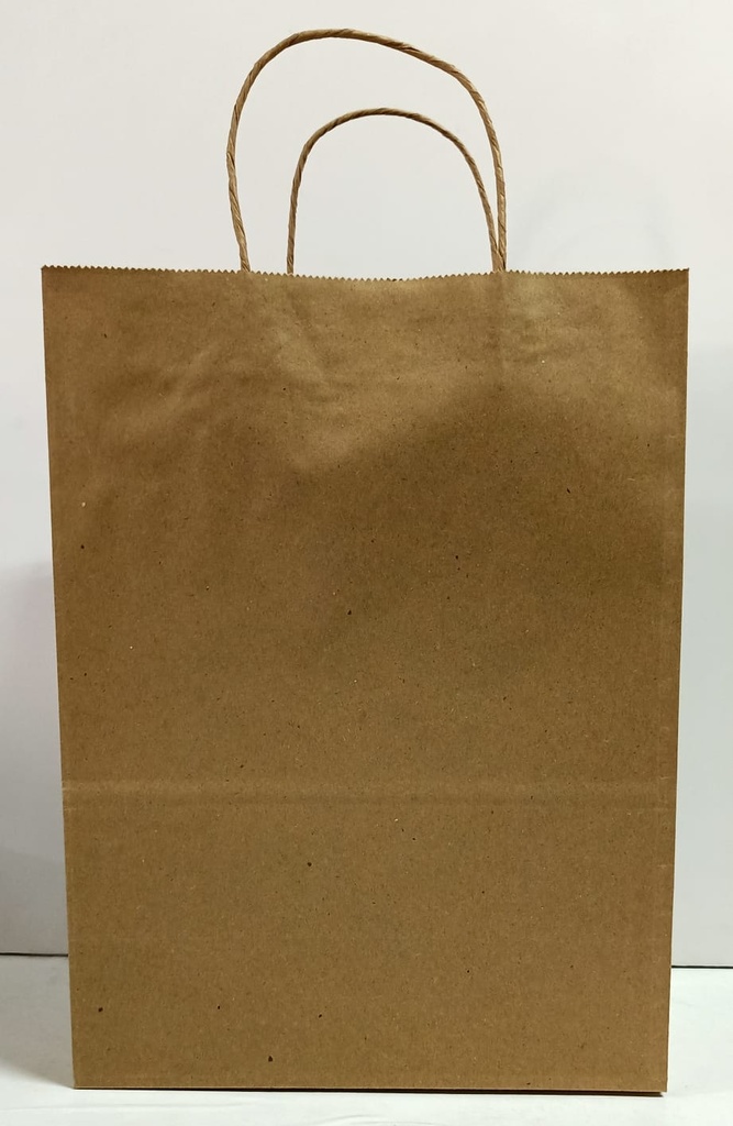 Paper Bag 10X13X5 Inch Guade 120 Gsm Paper-25 Pcs.