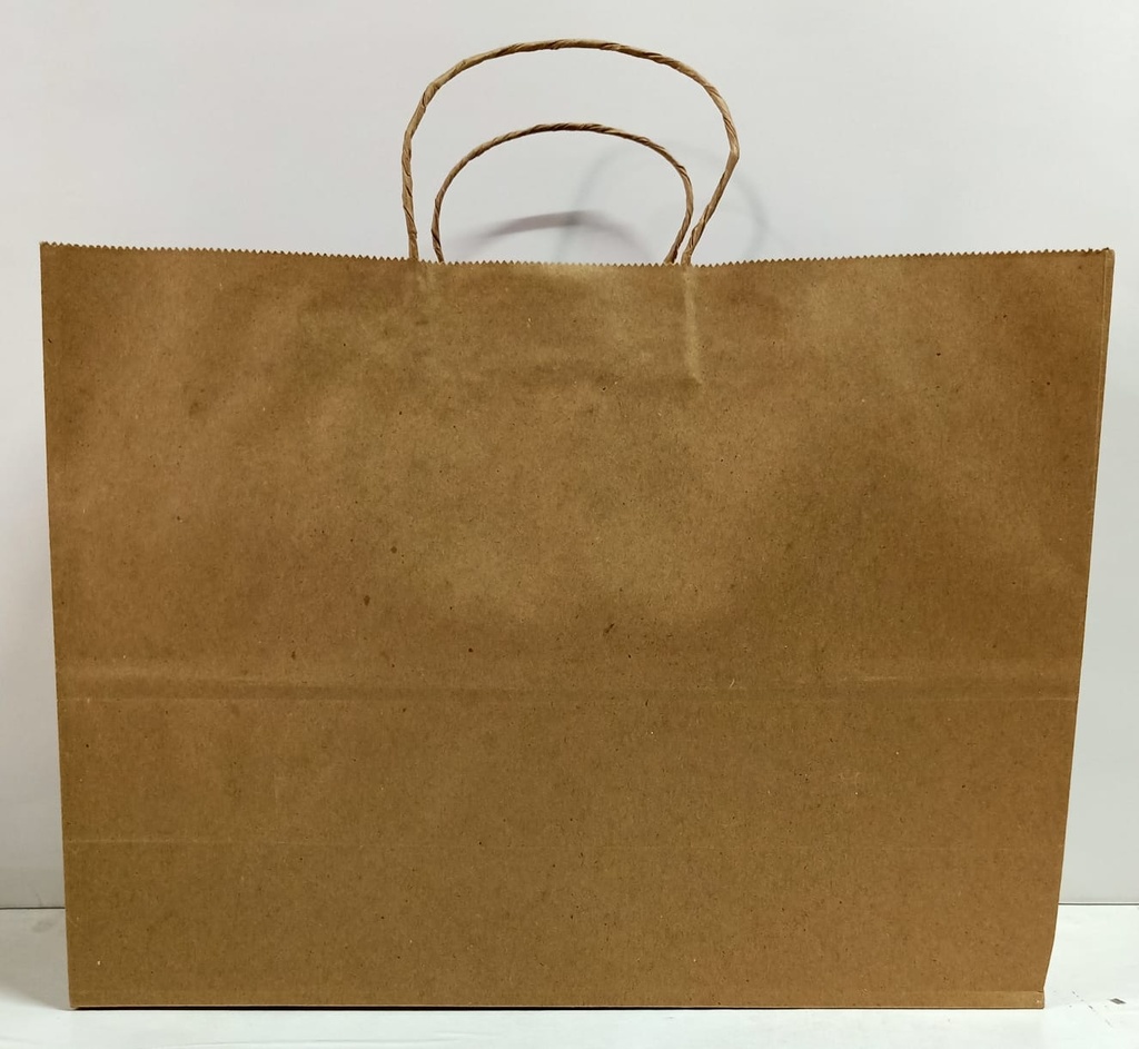 Paper Bag 15X11X5 Inch Guade 120 Gsm Paper-Pack of 25