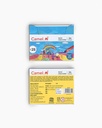 Camel Wax Crayons -24 Shades