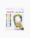 Camel Brush Pens -12 Shades