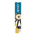 Apsara Gold HB Pencils For Executives (Pack Of 10)