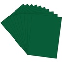 Pastel Colour Paper A3 Size 160 Gsm Dark Green Colour Double Sided (Pack Of 20)