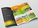 130 Gsm Art Paper Front Back A4 1000 Copy Brochure, Leaflet, Pamphlet Multi Colour Printing
