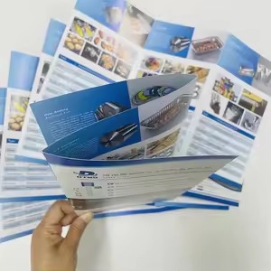 250 Gsm Art Card Front Back Without Lamination A4 1000 Copy Brochure, Leaflet, Pamphlet Multi Colour Printing