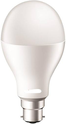 LED Bulb 20 Watt (1 Year Warranty)