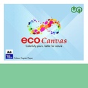JK Eco Canvas Green Colour Copier Paper A4 75 Gsm