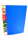 Redking Plastic File, (F/S) Legal Punchless Clip File