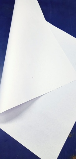 [L1138] Shreyans White Paper 23x36 15.4 Kg 58 Gsm (Loose Sheet)