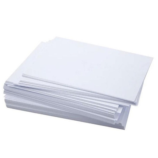 [L1300] Paper One Alabaster Paper 23x36 100 Gsm (Loose Sheet)
