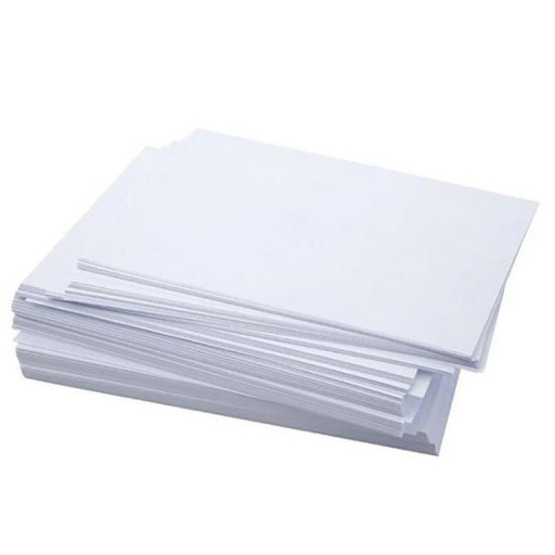 [L1302] (Loose)Paper One Alabaster 25x36 100 Gsm