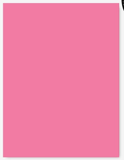 [L1340] (Loose)Westcoast 22x28 8.0 Kg Pink