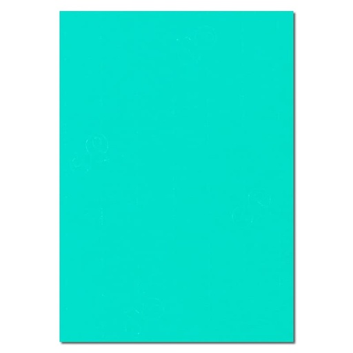 [L1352] (Loose)Westcoast 22x28 9.7 Kg Green