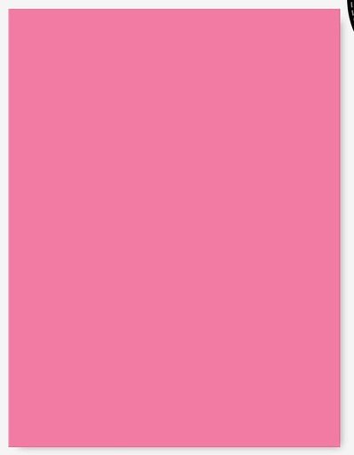 [L1356] (Loose)Westcoast 22x28 11.5 Kg Pink