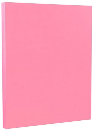 [L1390] (Loose)Westcoast Title 18x23 Pink