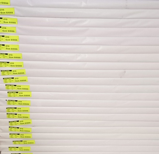 [P1640] 12X18 210 Gsm Gloss Art Card (Pack of 200)