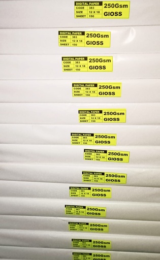 [P1642] BGPPL Digital 12x18 250 Gsm Gloss Art Card 7.0 Kg (Pack of 200)