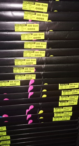 [P1644] 12X18 300 Gsm Gloss Art Card (Pack of 200)