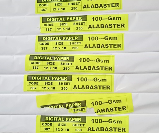 [P1646] Alabaster Digital 12x18 100 Gsm 3.49 Kg (Pack Of 250)