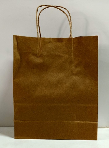 [P4700] Paper Bag 9X12X4 Inch Guade 120 Gsm Paper-Pack of25