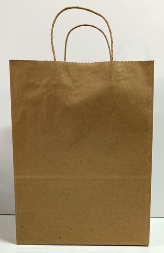 [P4702] Paper Bag 10X13X5 Inch Guade 120 Gsm Paper-Pack of 25