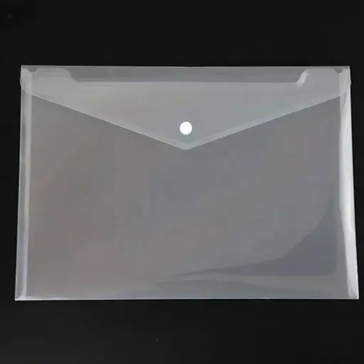 [P2998] Vivid My Clear Bag Full Size A4 Transparent Plastic File Folder (Pack Of 20)