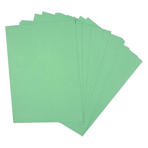 [P3858] Pastel Paper Light Green Colour A3 Size 160 Gsm (Pack Of 20)