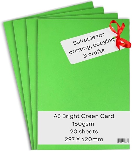 [P3861] Pastel Paper Dark Green Colour A3 Size 160 Gsm (Pack Of 20)
