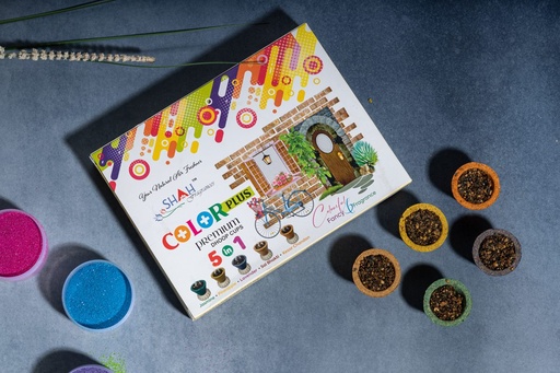 [P5025] Color Plus 5in1 Premium Dhoop Cups (Pack Of 12)