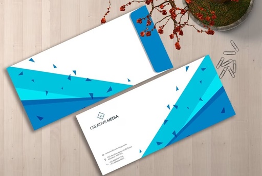 [P6610] Alabaster Paper One 11x5 Cover Multi Colour Print (1000 Pcs)