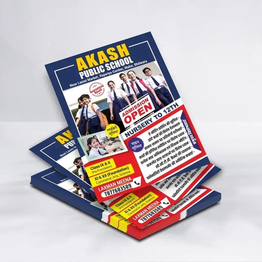 [P6644] 90 Gsm Art Paper Front Back A4 2000 Copy Brochure, Leaflet, Pamphlet Multi Colour Printing