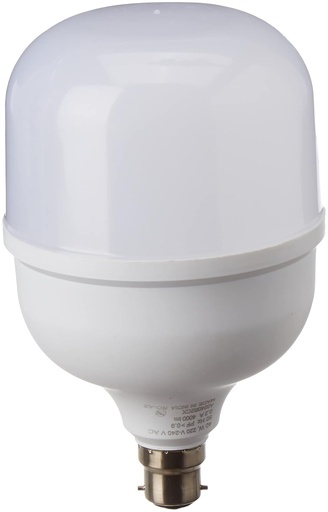 [P7010] LED Bulb 30 Watt (1 Year Warranty)