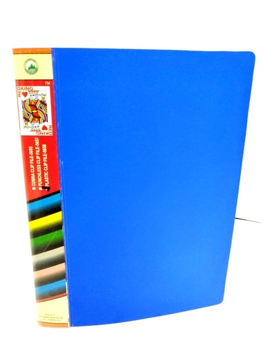[P2892] Redking Plastic File, A4 Punchless Clip File